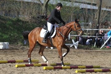 Bild 1065 - WBO-Turnier am 9.4.11